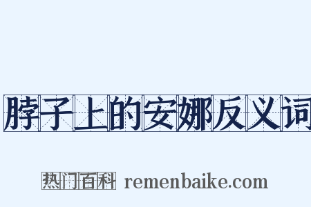 脖子上的安娜反义词是什么意思的图片